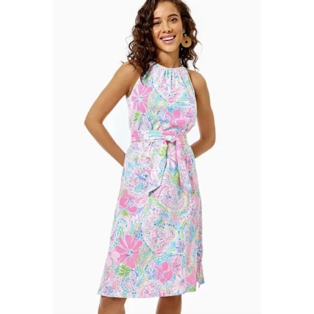 Lilly Pulitzer Mabry Midi Dress in Multi Flock Full of Fun Pink sz M